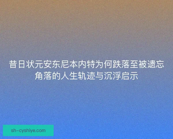 昔日状元安东尼本内特为何跌落至被遗忘角落的人生轨迹与沉浮启示